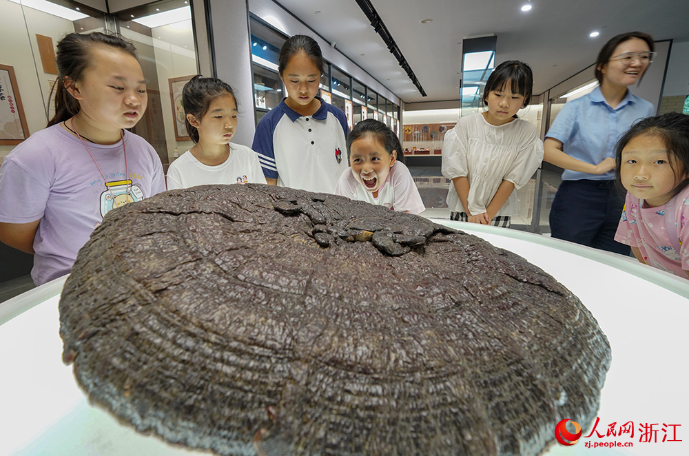 7月18日，在麗水經濟技術開發區中藥博物館內，“小候鳥”們正在觀看藥材標本。人民網 章勇濤攝