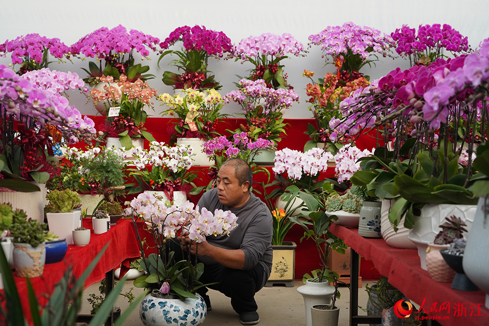 近日，工人在杭州市拱墅區石橋街道楊家花卉世界內忙碌著。人民網 章勇濤攝 