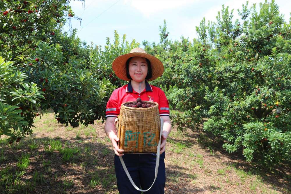 中國石化浙江石油青年團員志愿者在展示采摘成果。中國石化浙江石油供圖